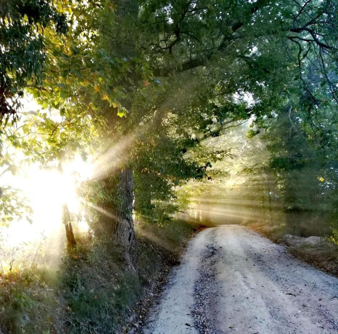 La Quercia Incantata Camerino Kültér fotó